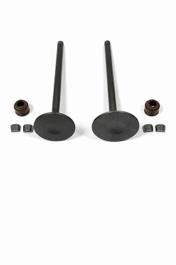 RMLCN01551 - CG300.webp