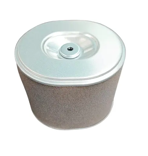 FILTRO DE AIRE WY125 -150 EVOX 