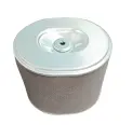 FILTRO DE AIRE WY125 -150 EVOX 