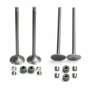 VALVULA COMPLETO CG150 PICO CORTO